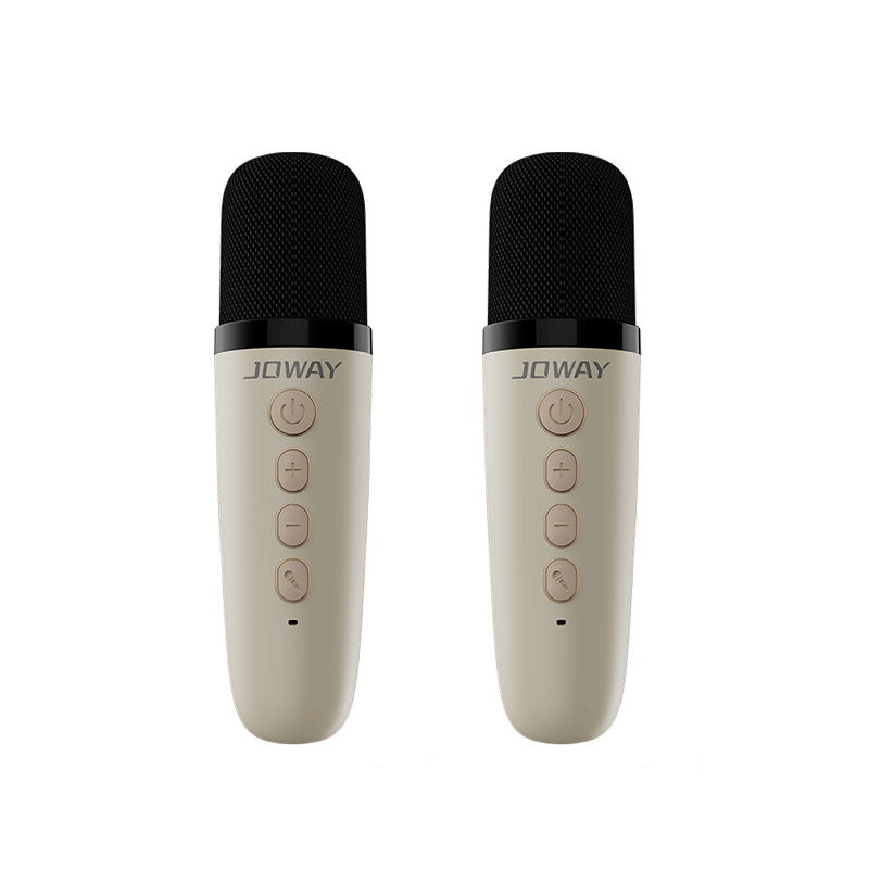 BM216 炫彩K歌蓝牙音箱套装_蓝牙音响_深圳市立博电源有限公司